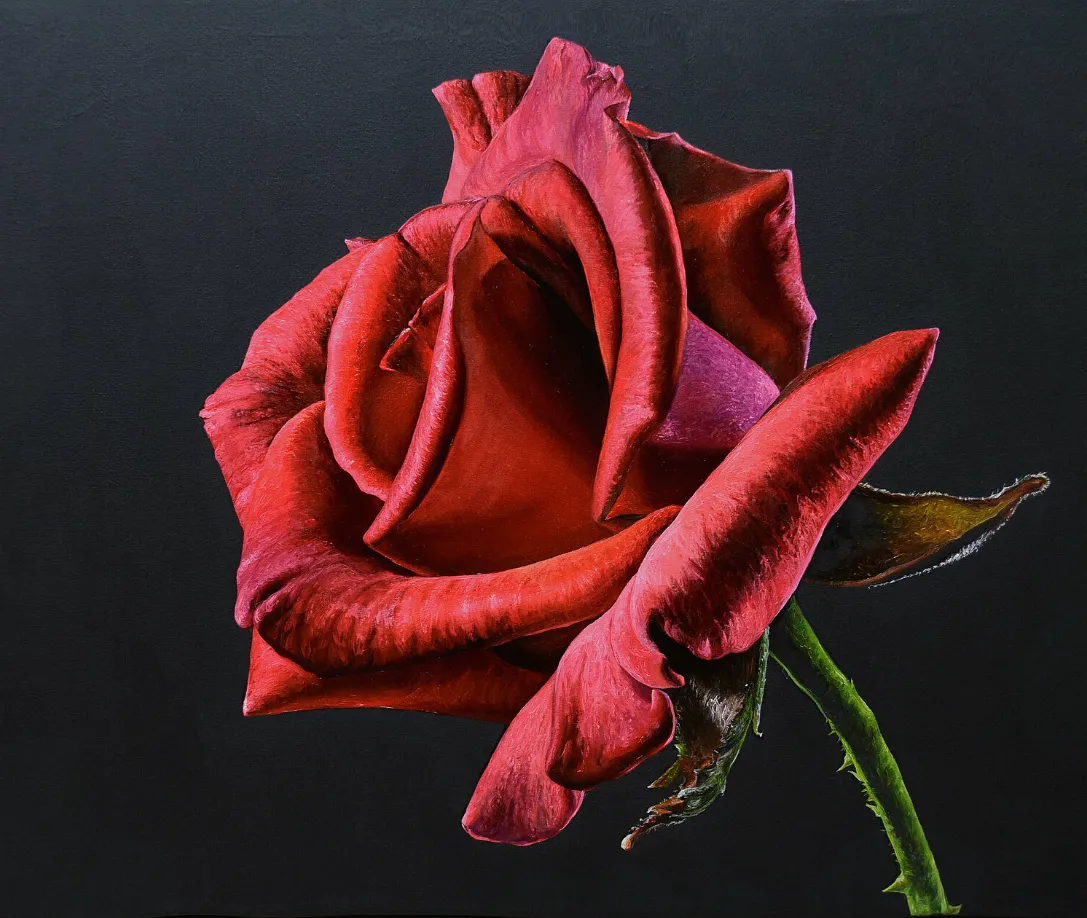 Bild von Rote Rose von Elena Adele Dmitrenko, Teil der Stillleben Serie