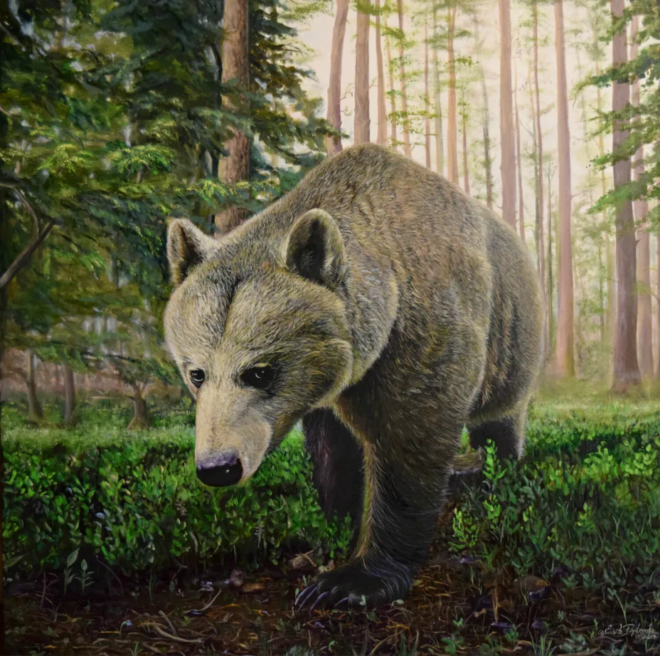 Bild von Bär von Elena Adele Dmitrenko