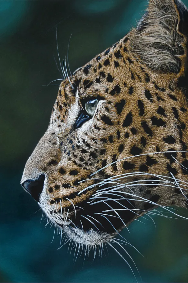 Bild von Leopard von Elena Adele Dmitrenko