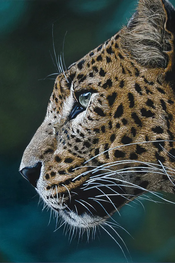 Image of Leopard by Elena Adele Dmitrenko