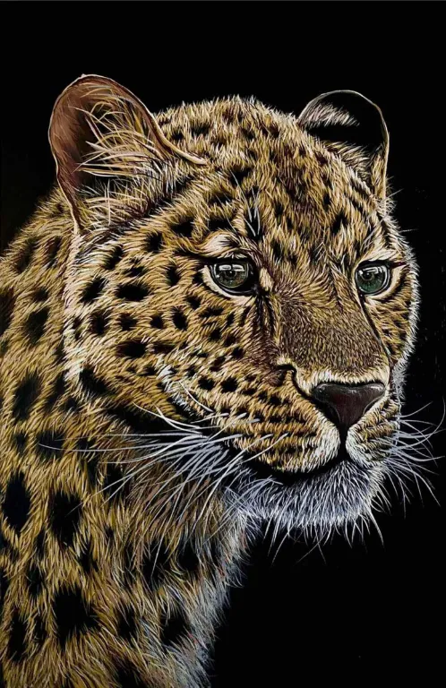 Bild von Leopard von Elena Adele Dmitrenko, Teil der Tiere Serie